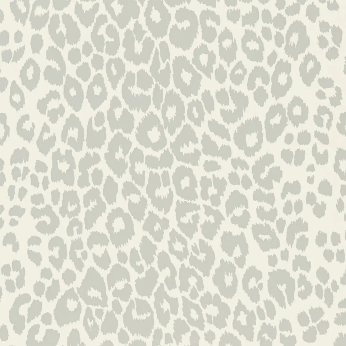 ICONIC LEOPARD_ CLOUD