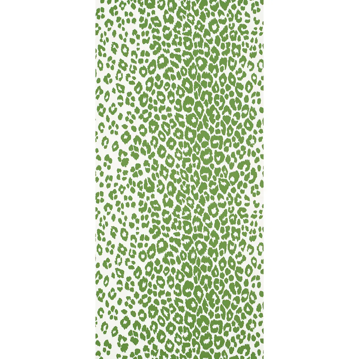 5007015-1.webp