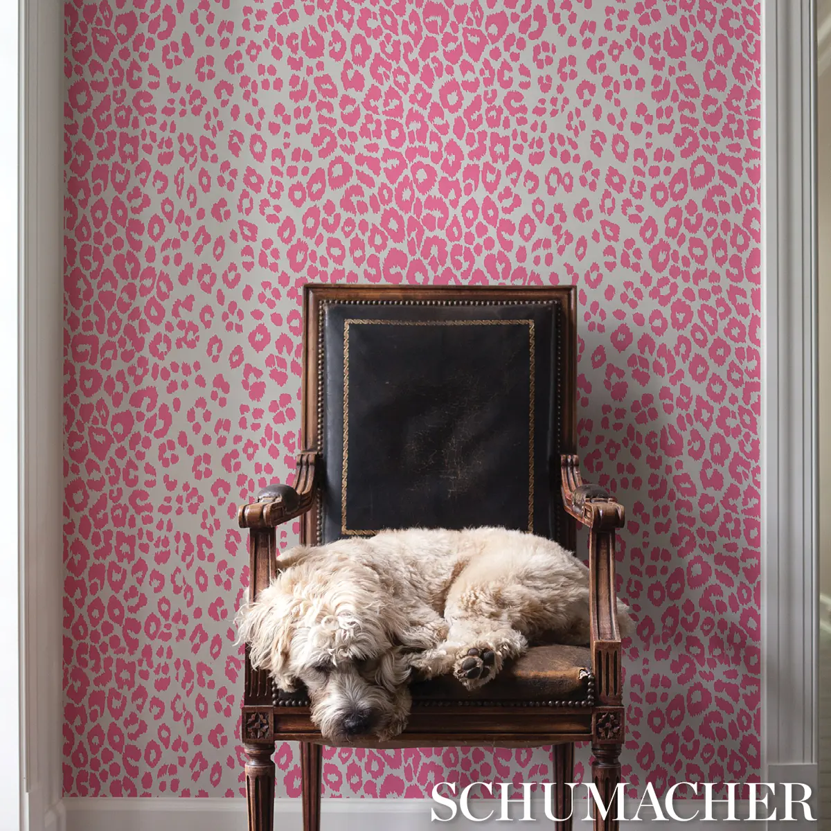 ICONIC LEOPARD_ PINK