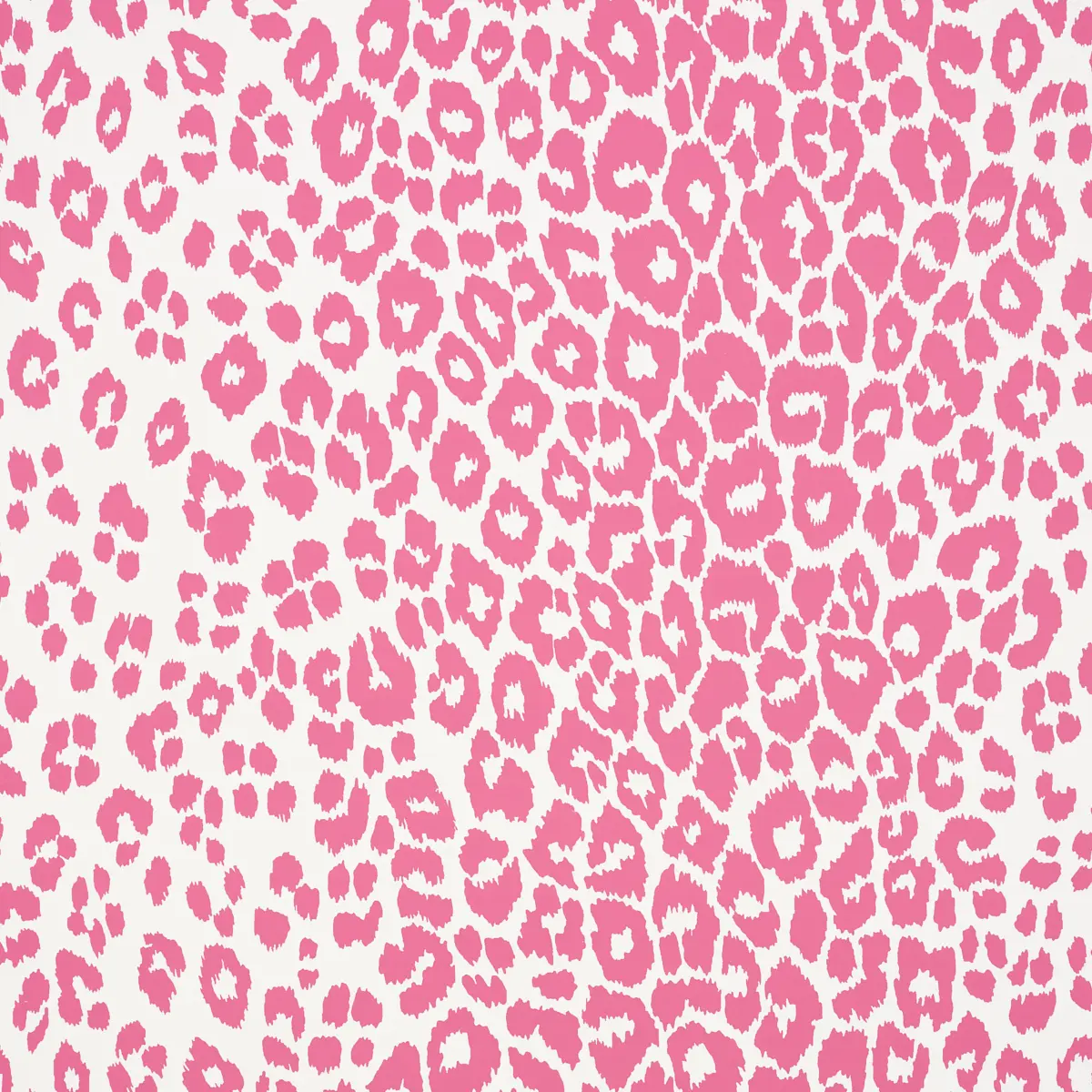 ICONIC LEOPARD_ PINK
