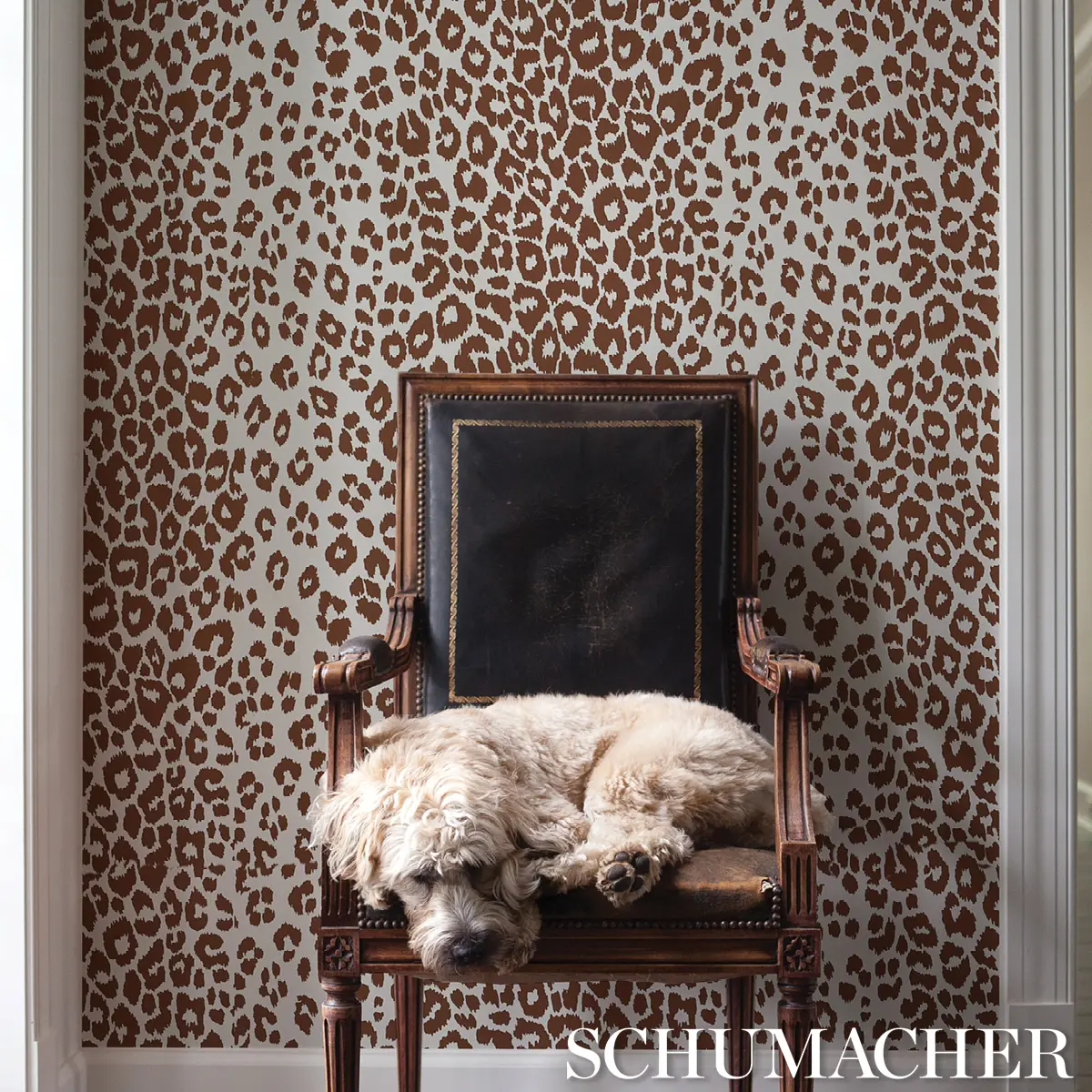 ICONIC LEOPARD_ BROWN