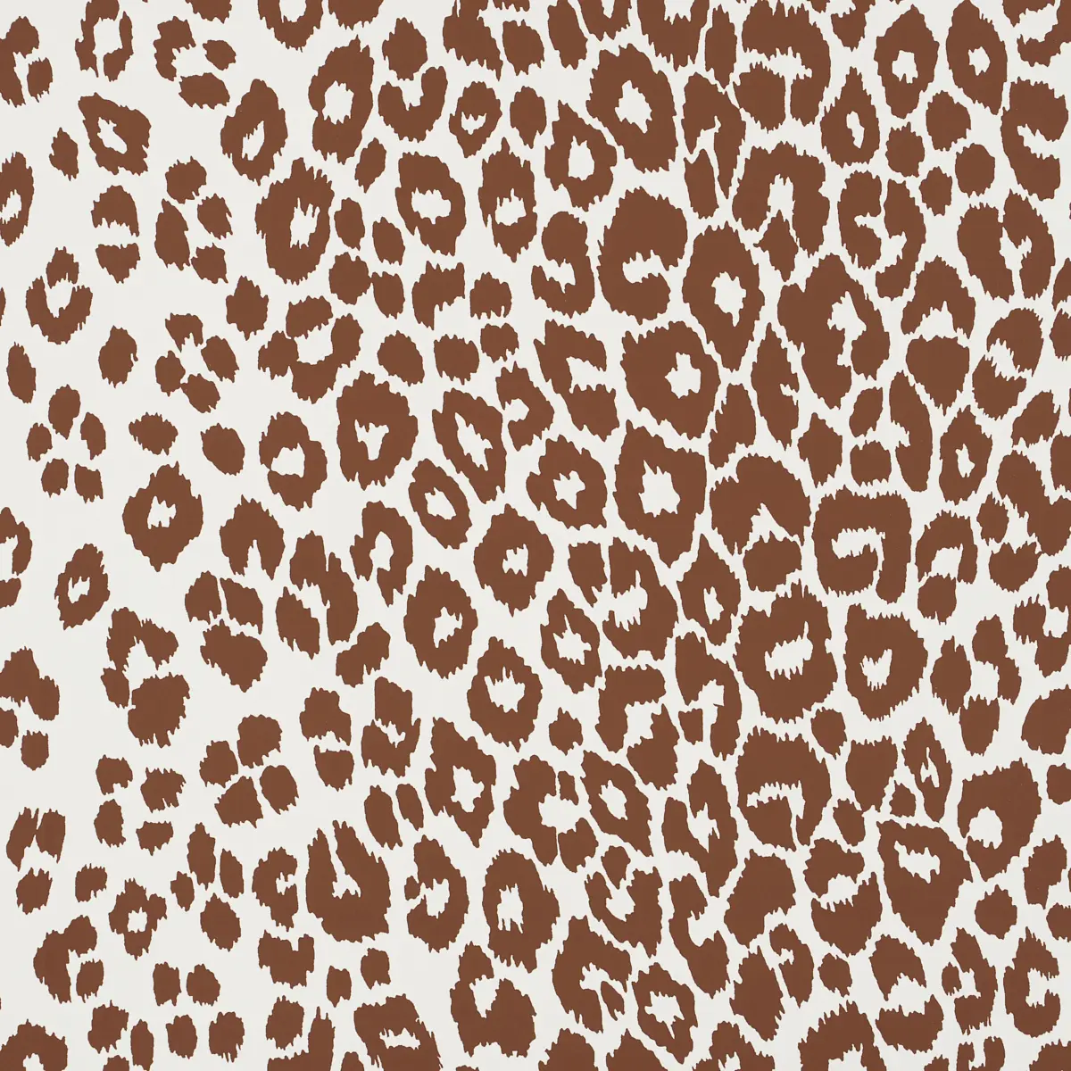 ICONIC LEOPARD_ BROWN