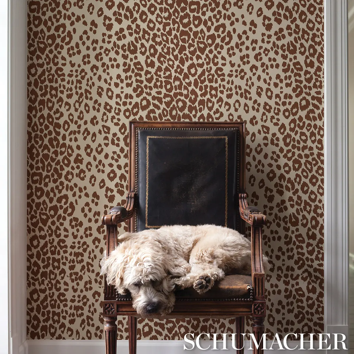 ICONIC LEOPARD_ BROWN ON NEUTRAL