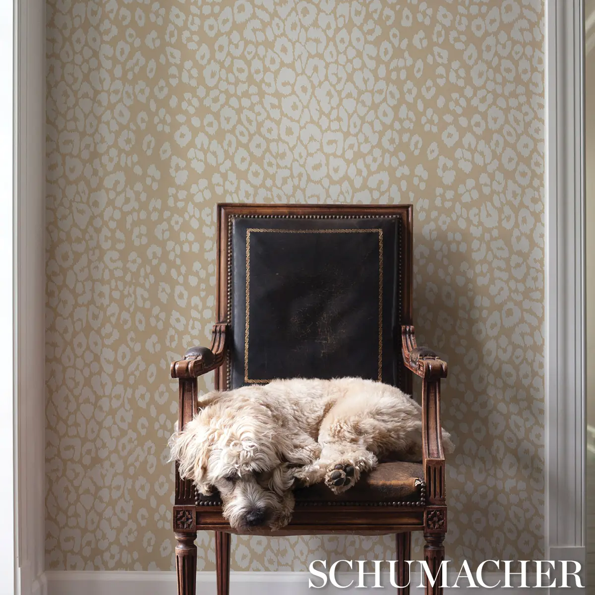 ICONIC LEOPARD_ IVORY ON NEUTRAL