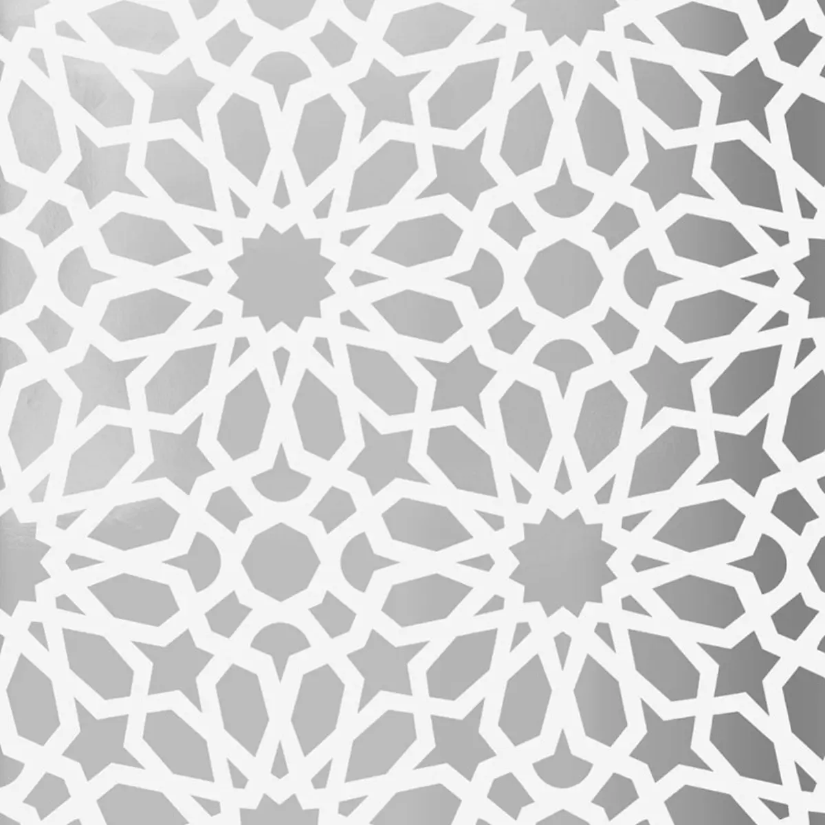AGADIR SCREEN MYLAR_ MOON