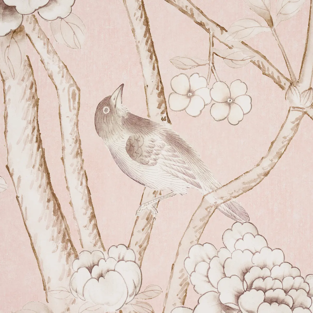 CHINOIS PALAIS PANEL_ BLUSH CONCH