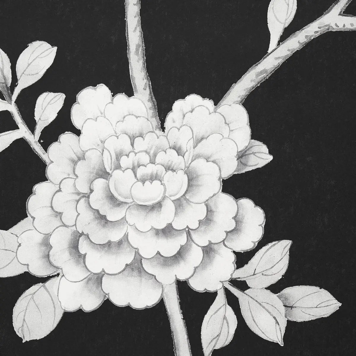 Chinois Palais Panel_ NOIR