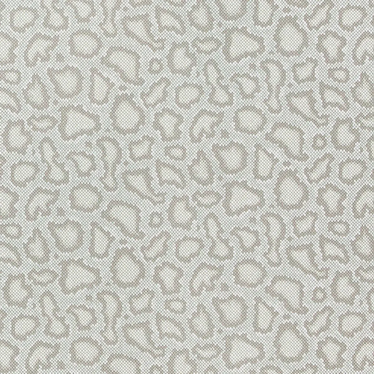 PARK AVENUE PYTHON_ DOVE