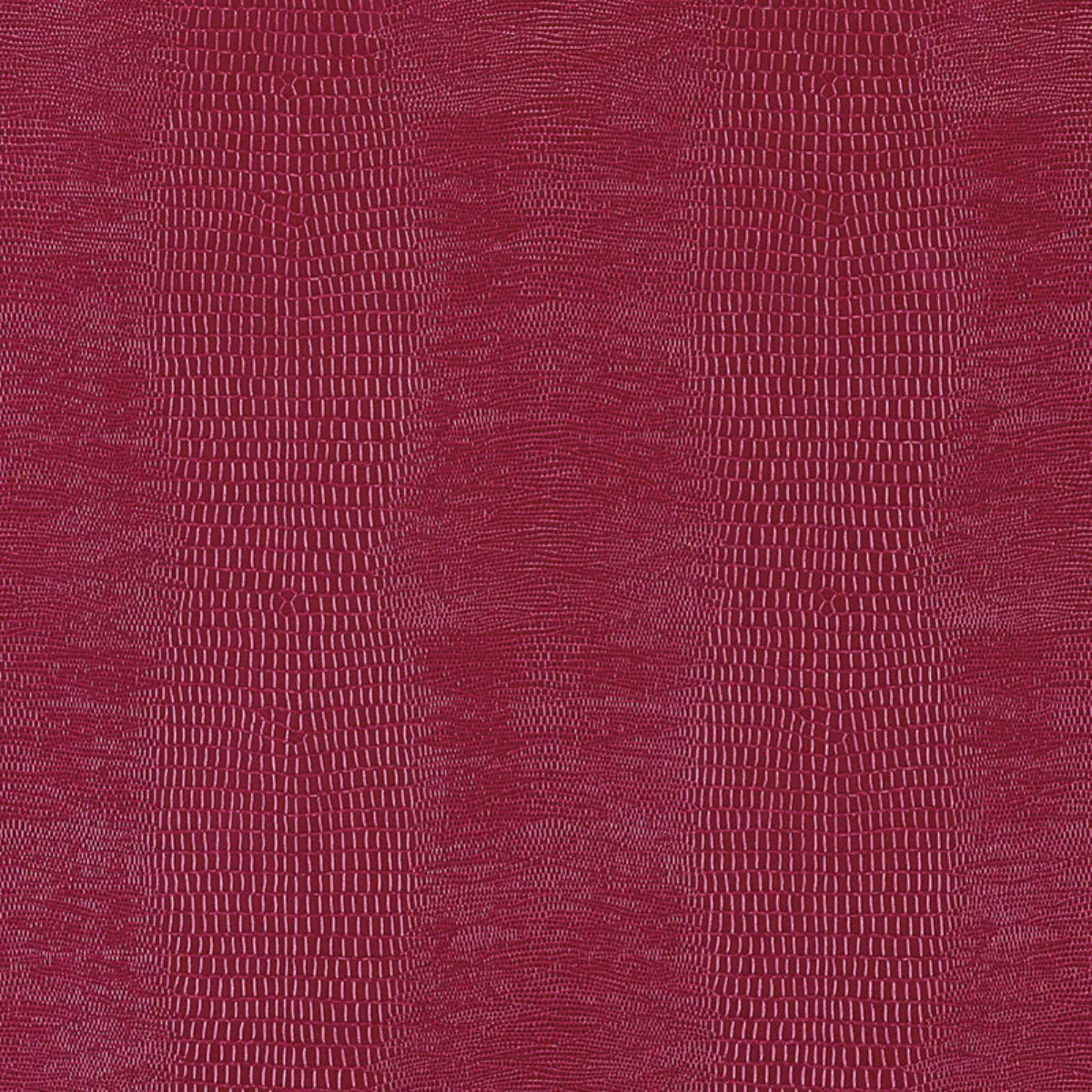 Komodo_ LACQUER