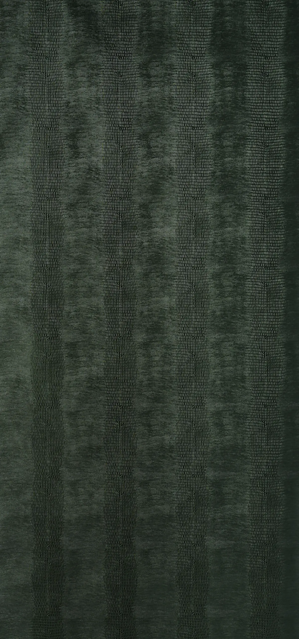 Komodo_ FOREST GREEN