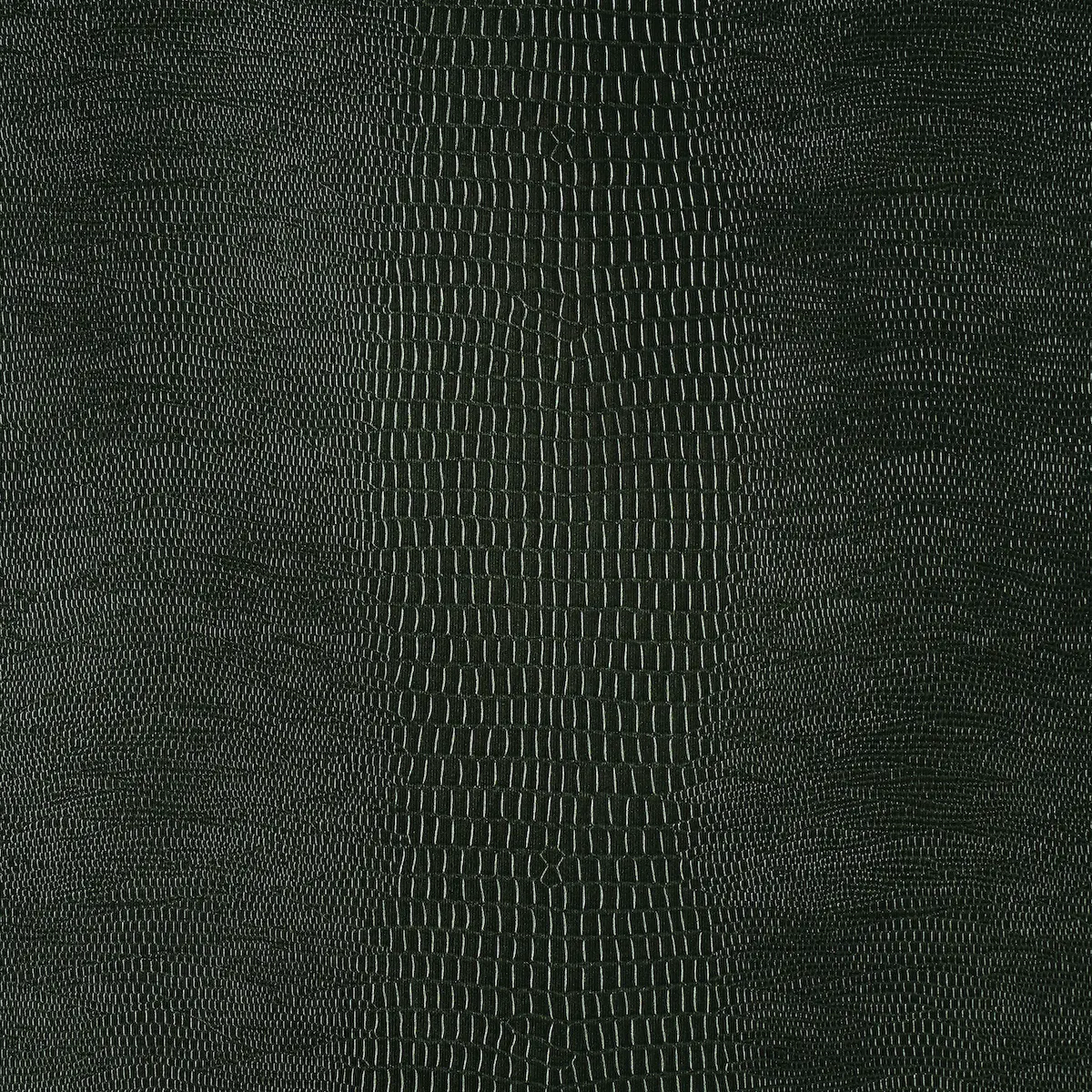 Komodo_ FOREST GREEN