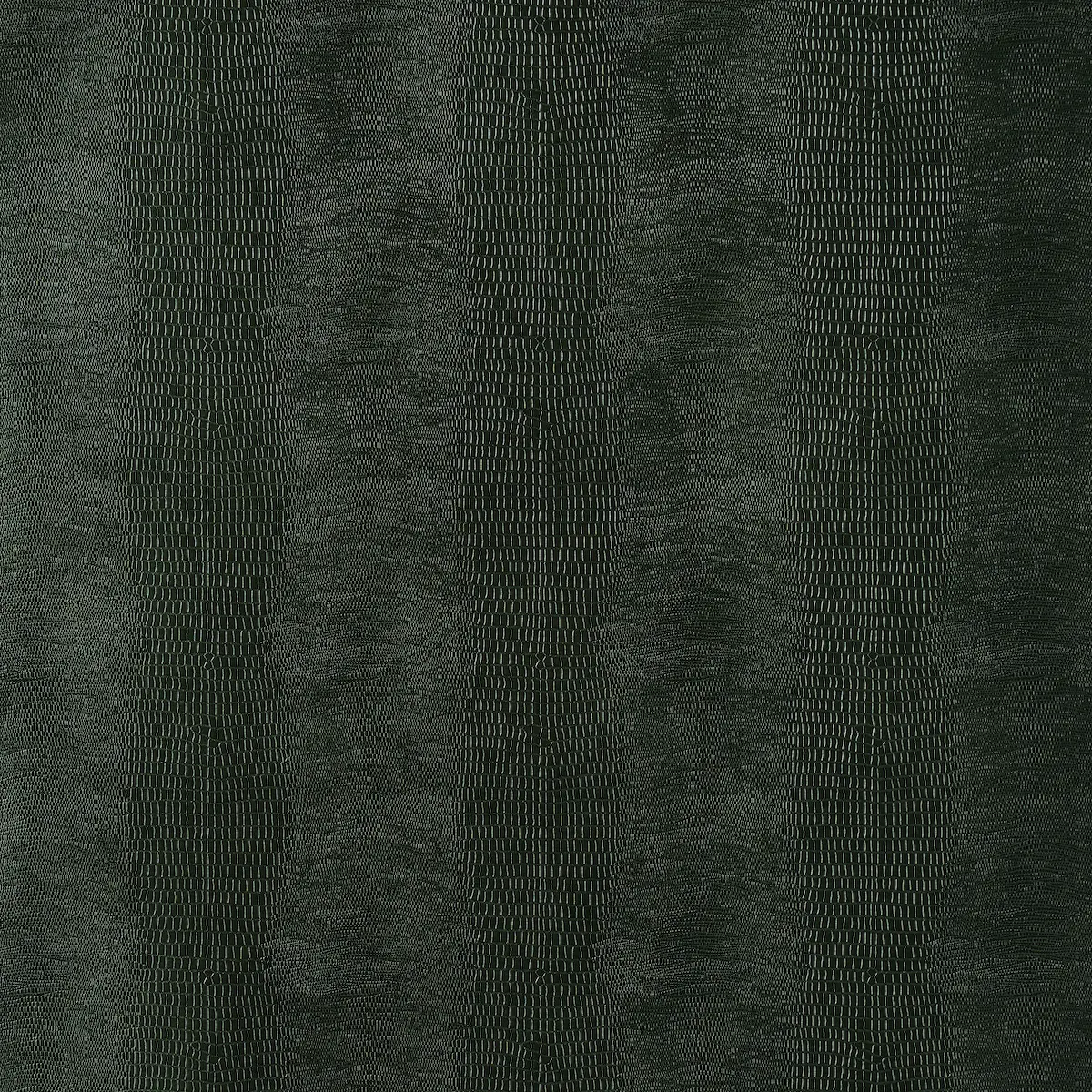 Komodo_ FOREST GREEN