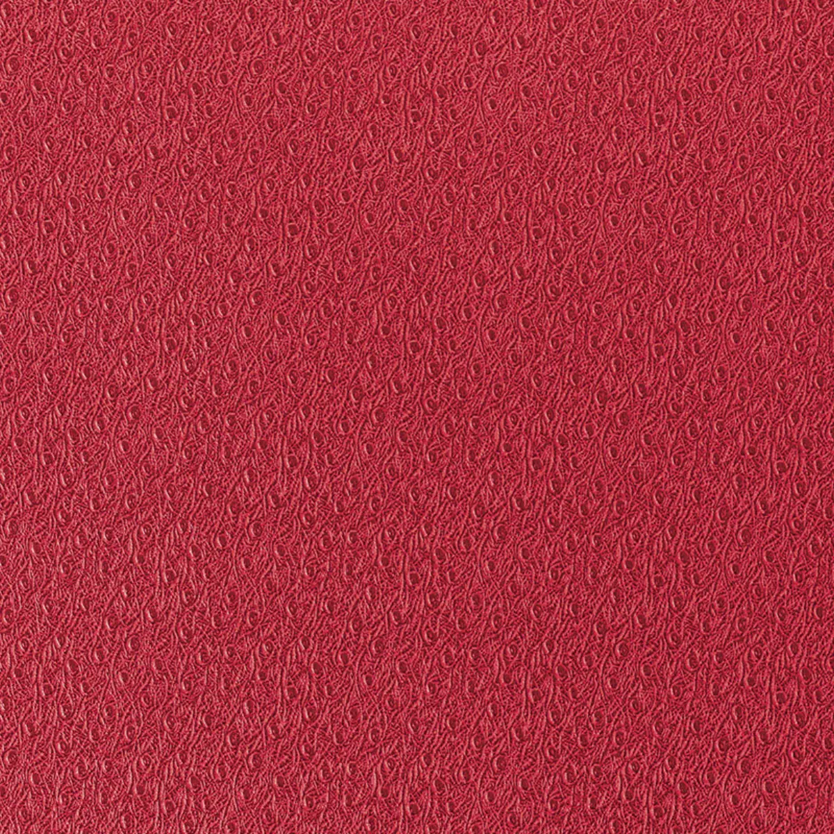 Ostrich_ SCARLET