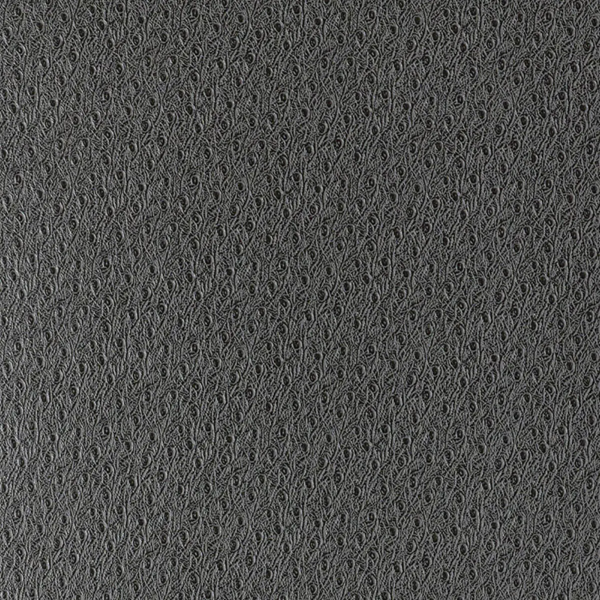 Ostrich_ GRAPHITE