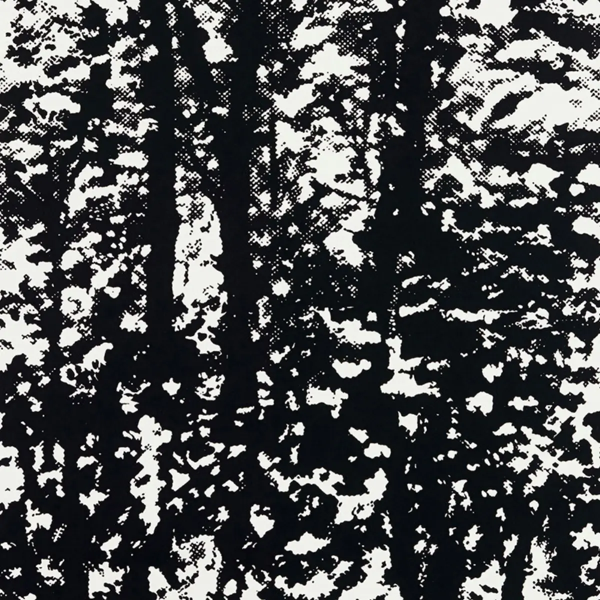 WOODLAND_ NIGHT