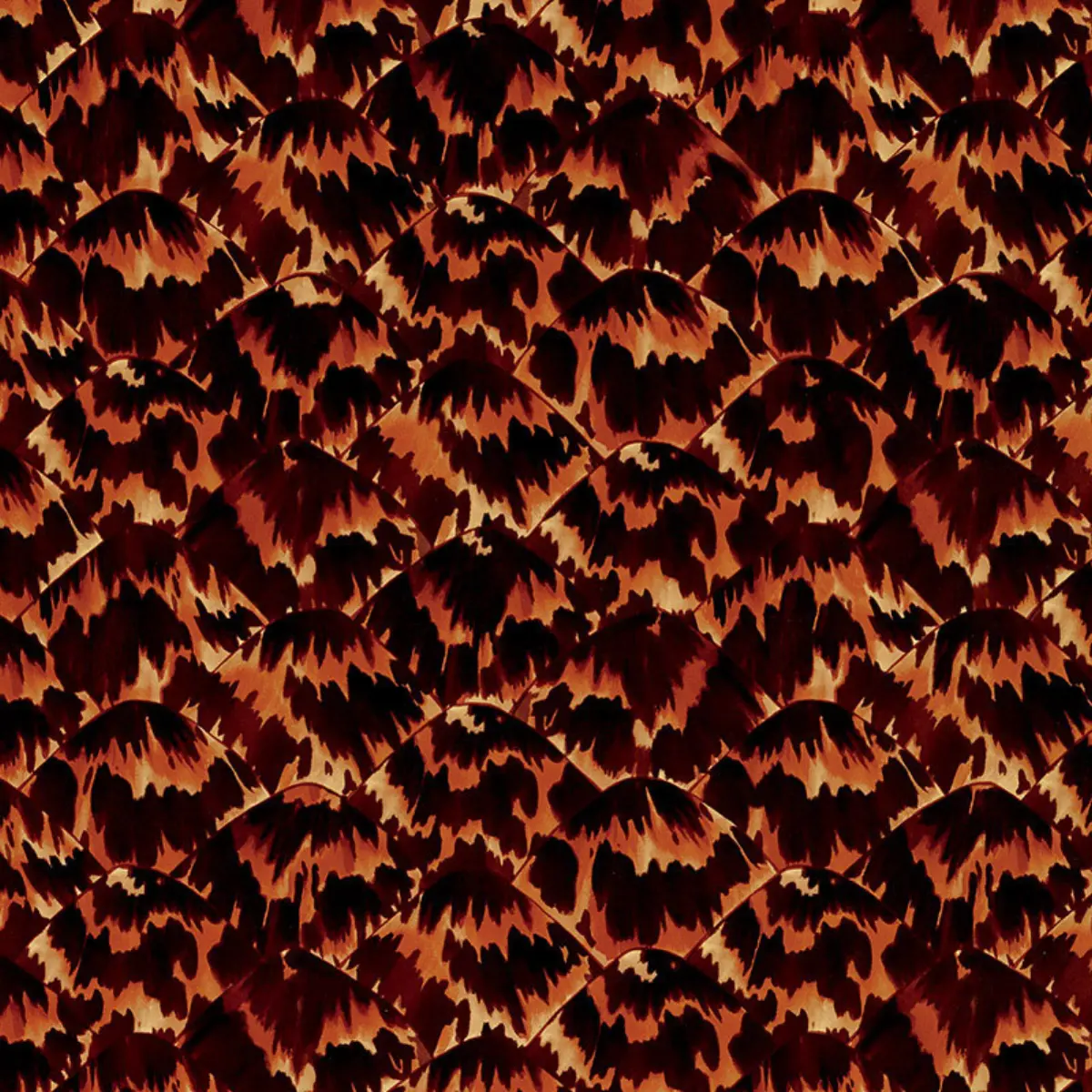 TORTOISE_ NATURAL
