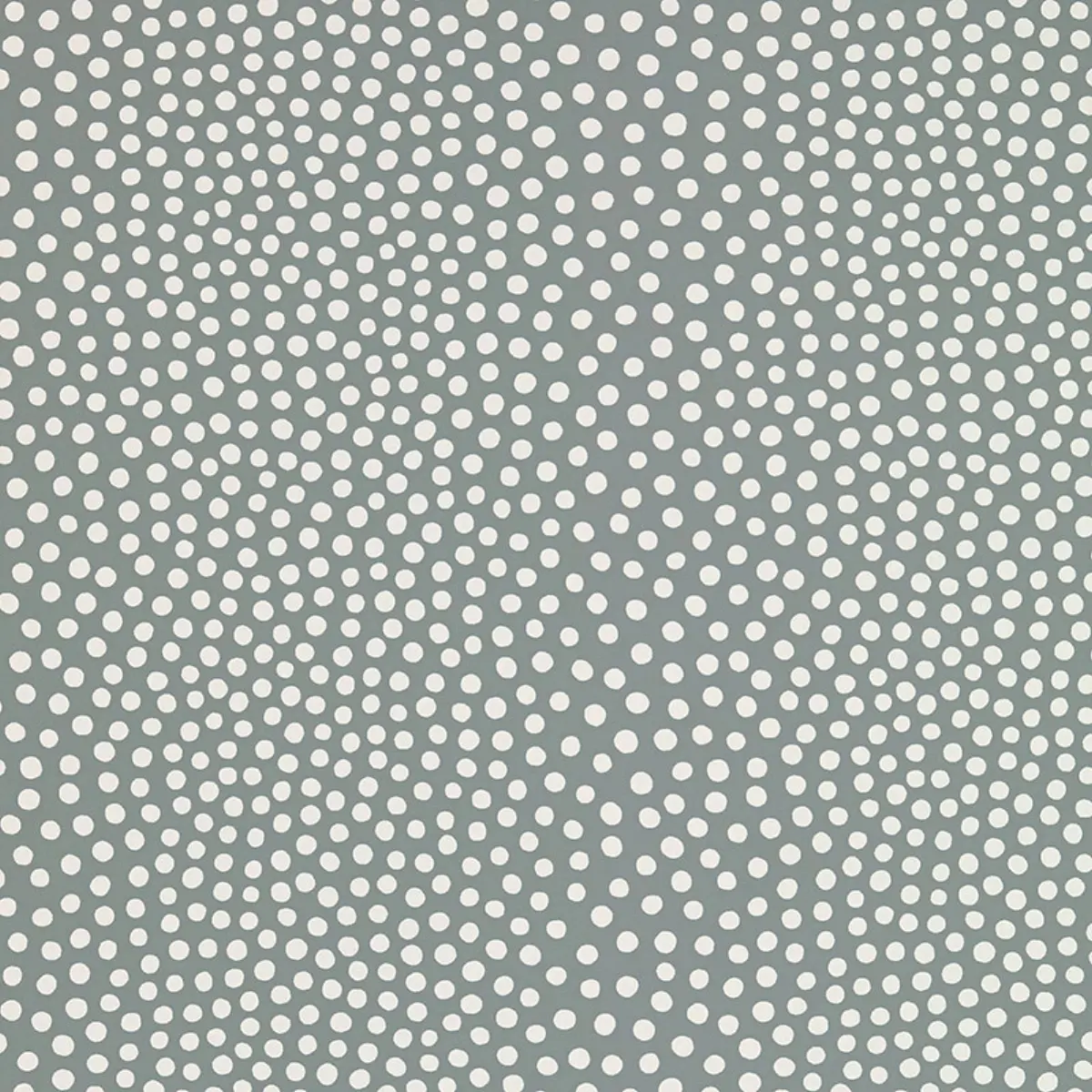 RAINDOTS_ FOG