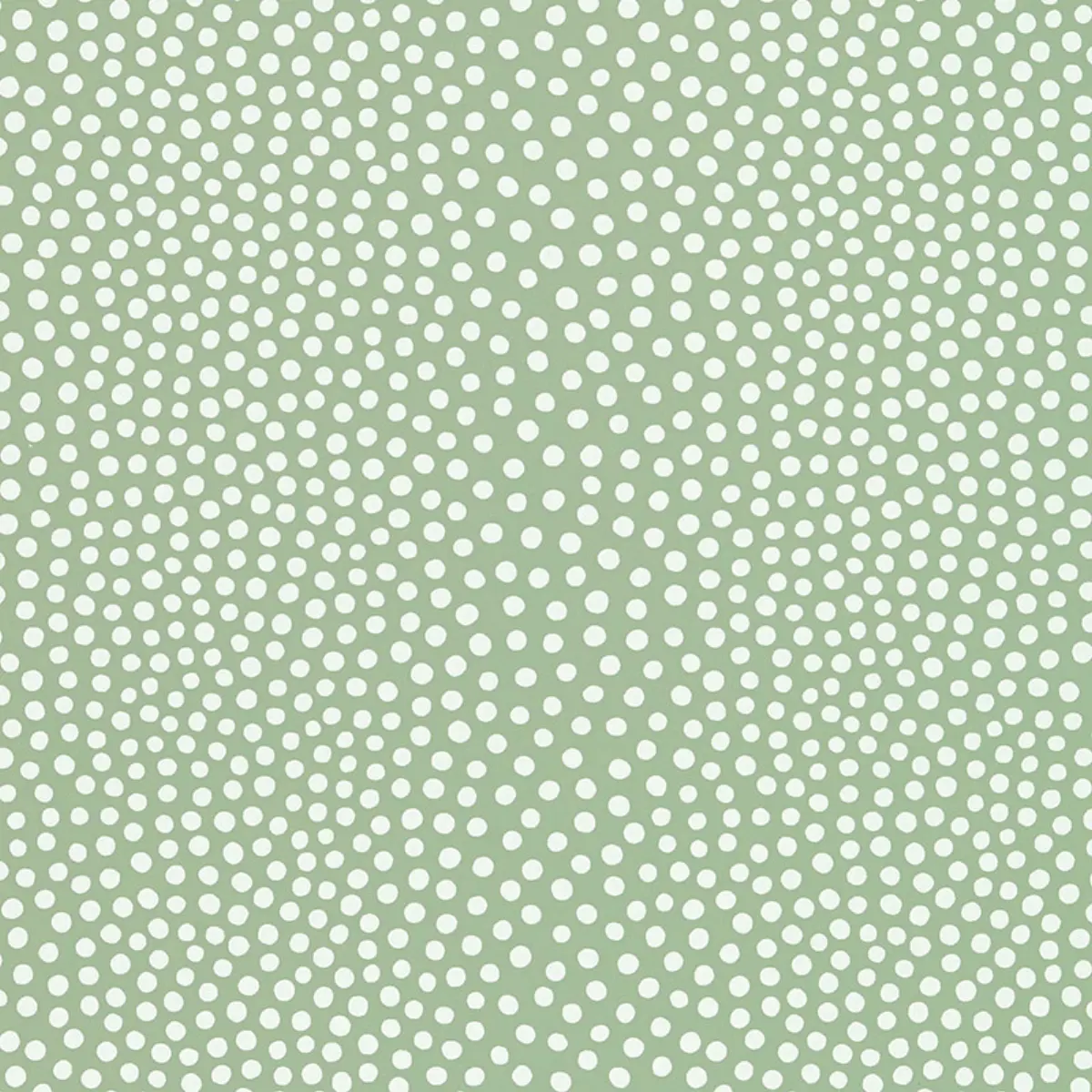 RAINDOTS_ SPRING