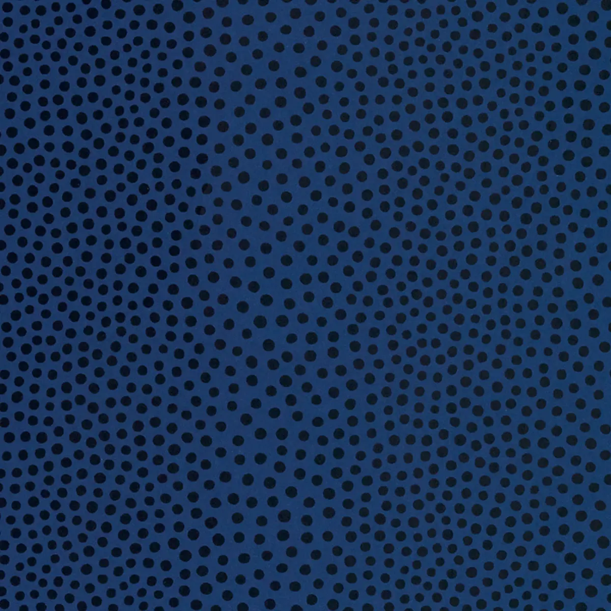 RAINDOTS_ MARINE NOIR
