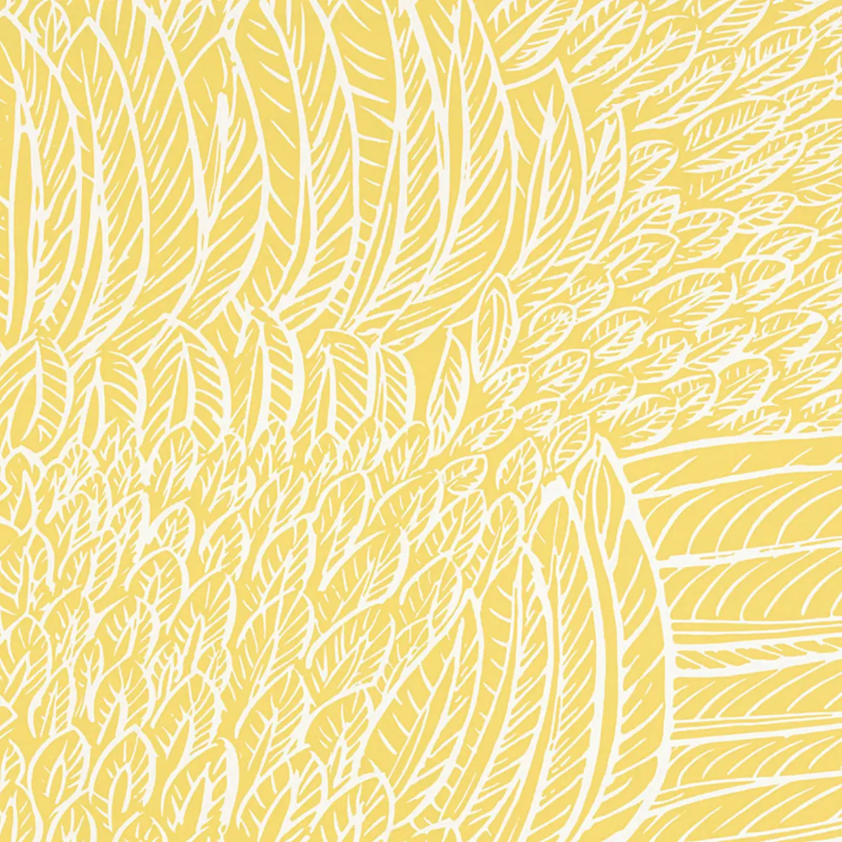FEATHERFEST_ CITRON