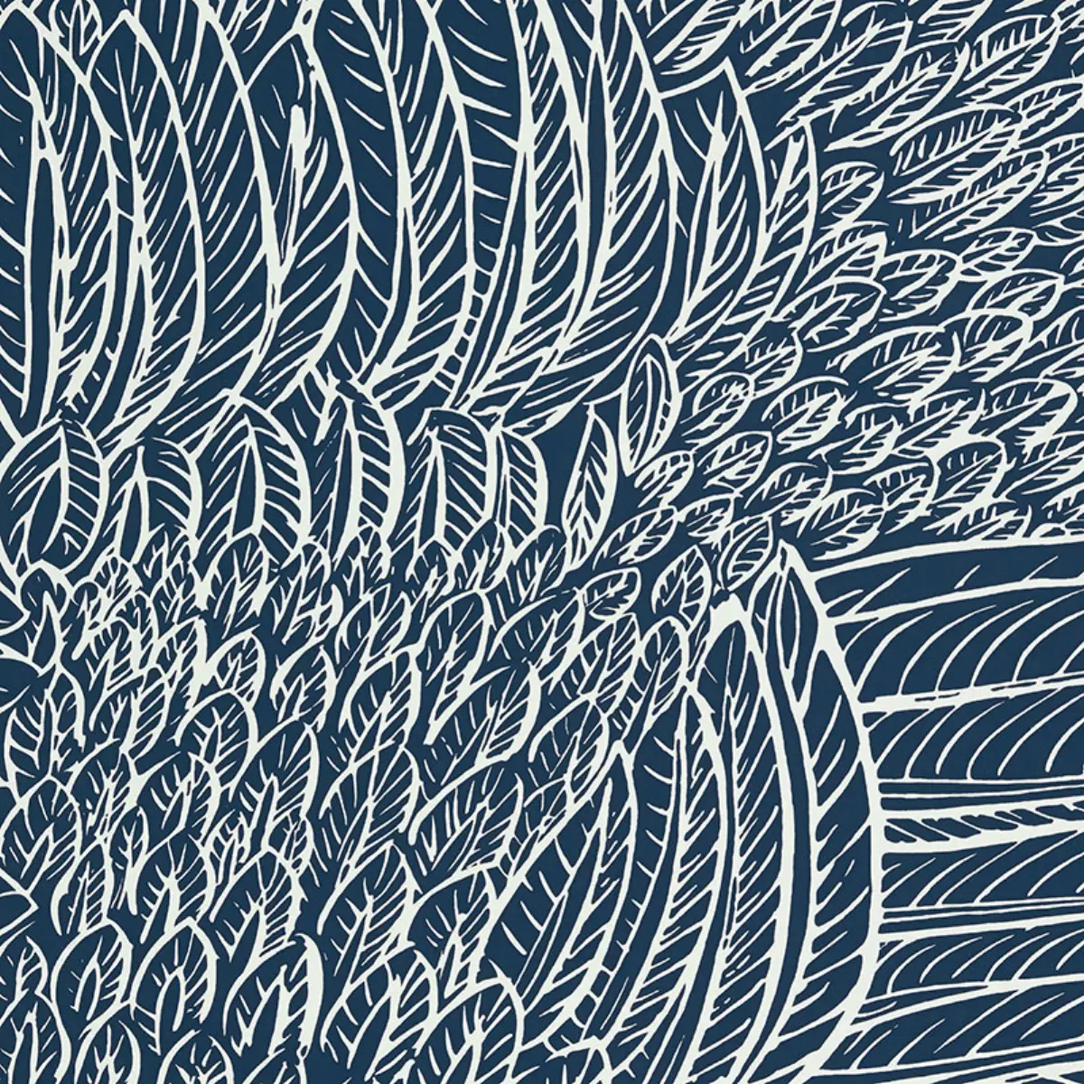 FEATHERFEST_ MARINE
