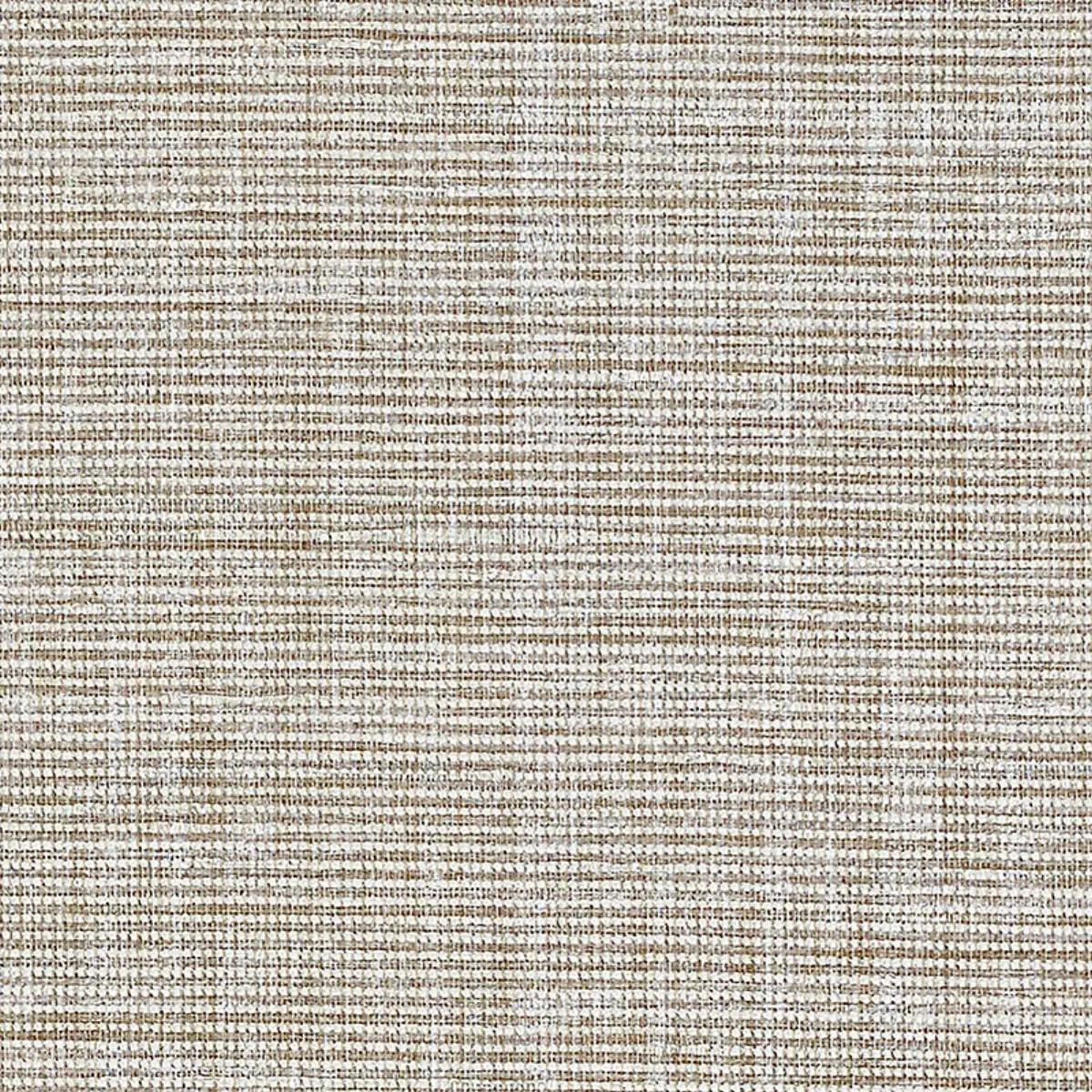 ANODIZED RAFFIA_ WARM SILVER