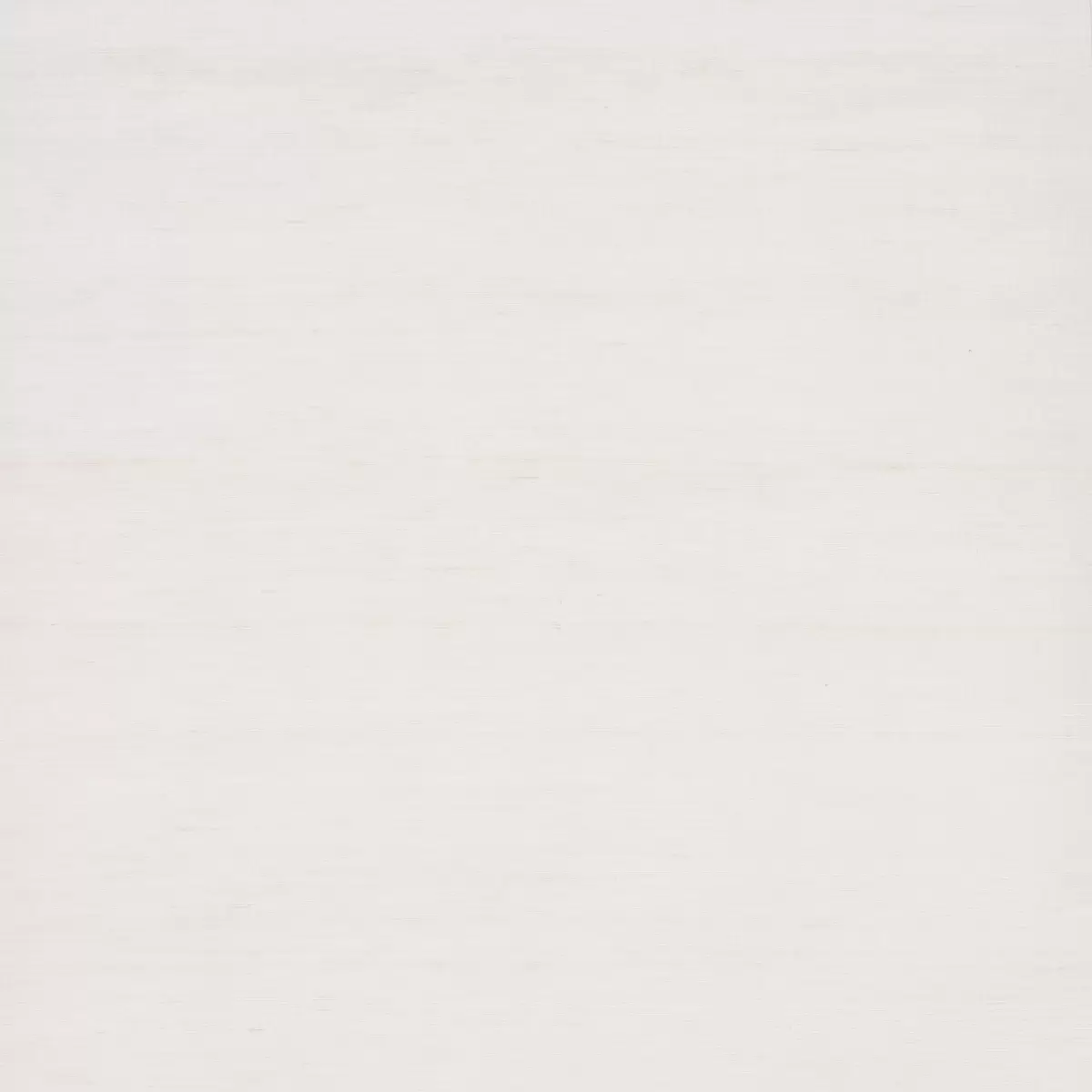SHADED SILK_ WHITE