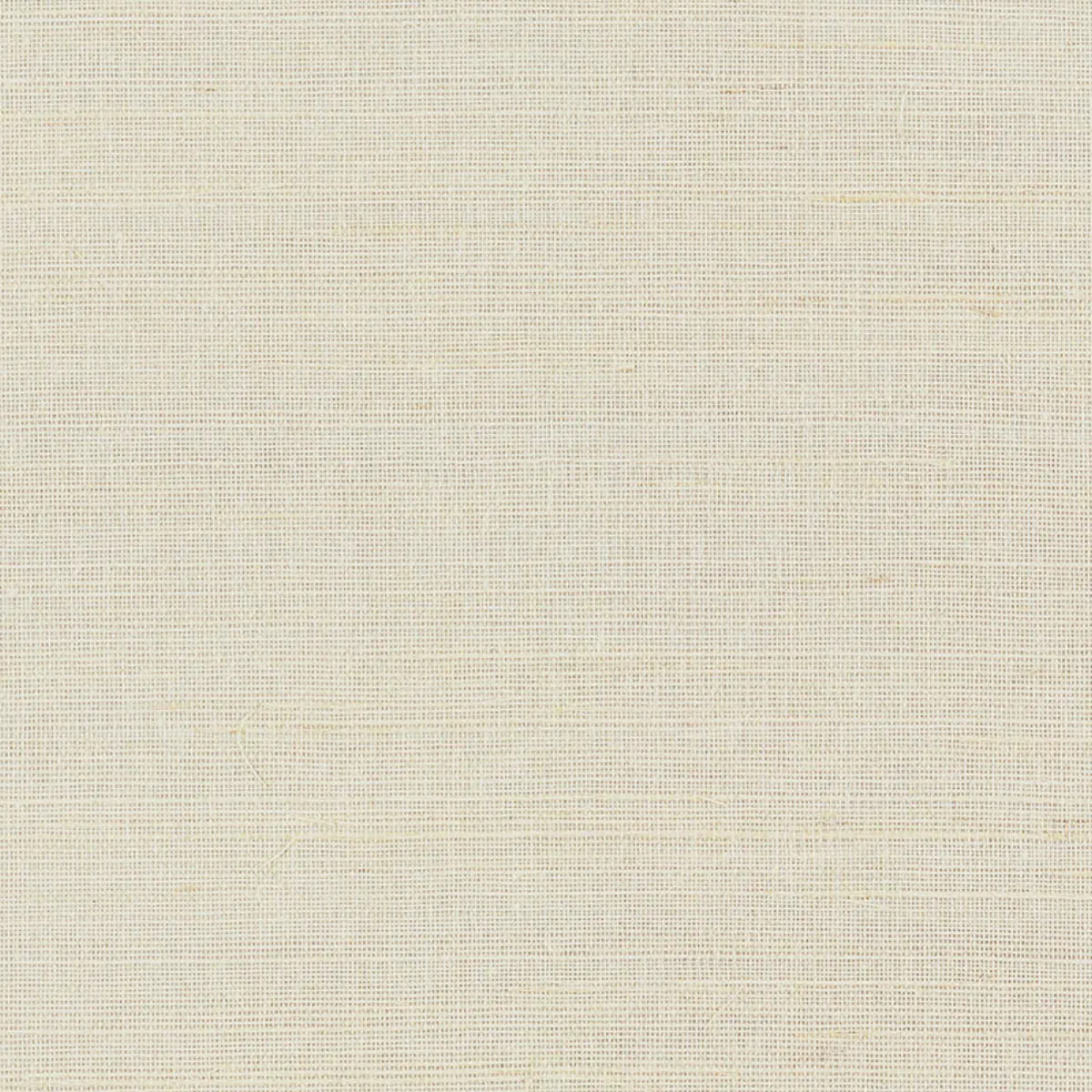 HEMP SHIMMER_ IVORY SHIMMER
