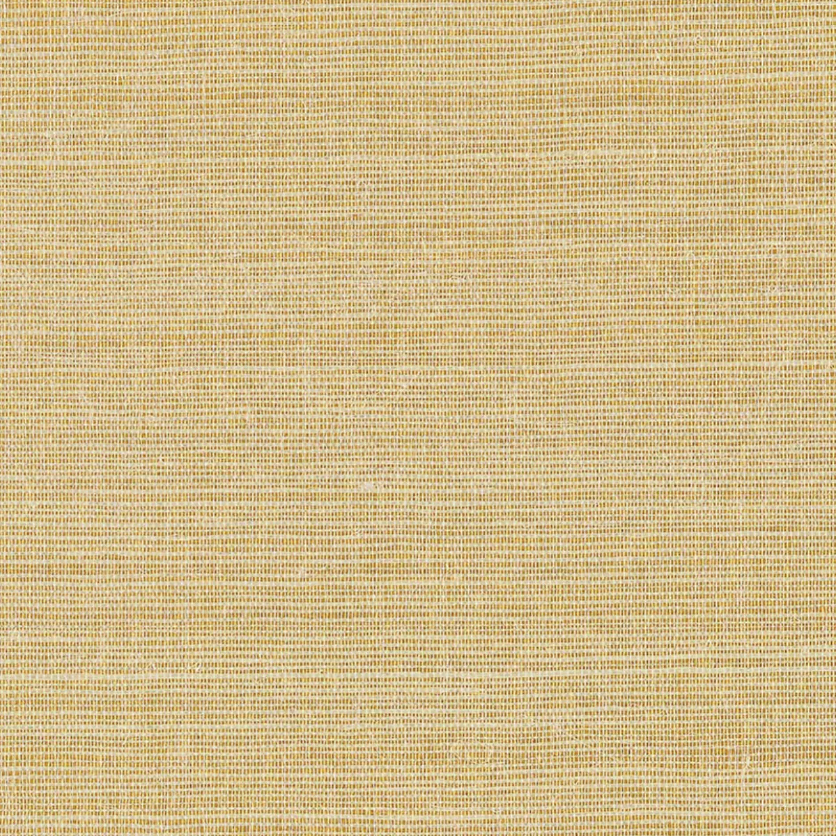 HEMP SHIMMER_ GILT SHIMMER