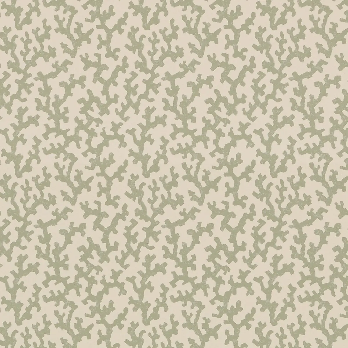 FOLLY_ SAGE