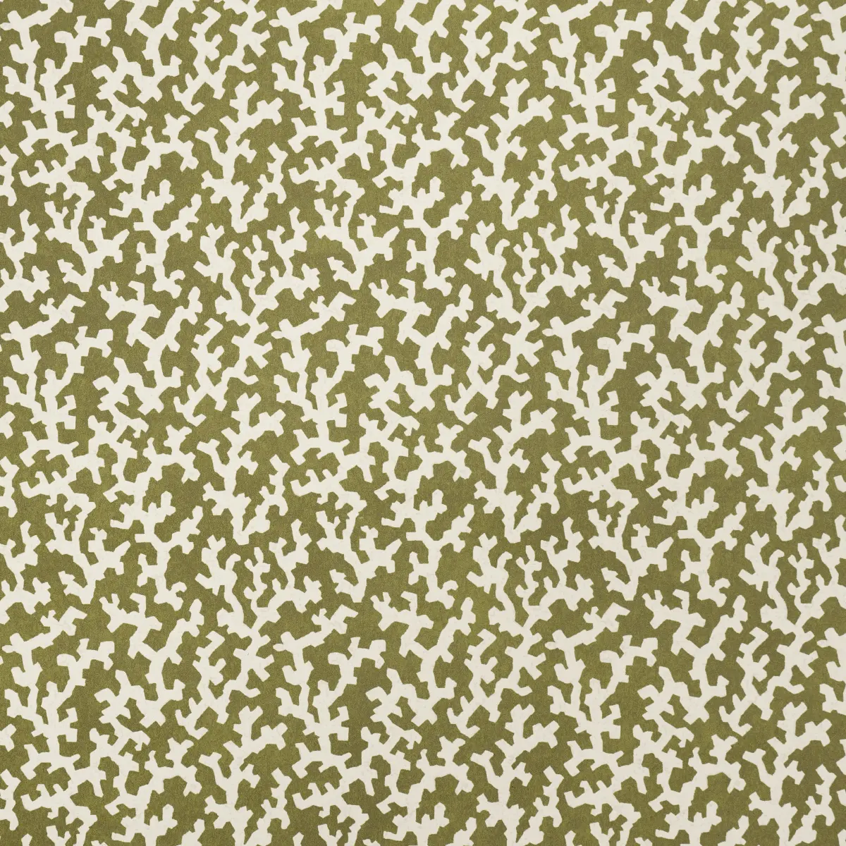 FOLLY_ OLIVE