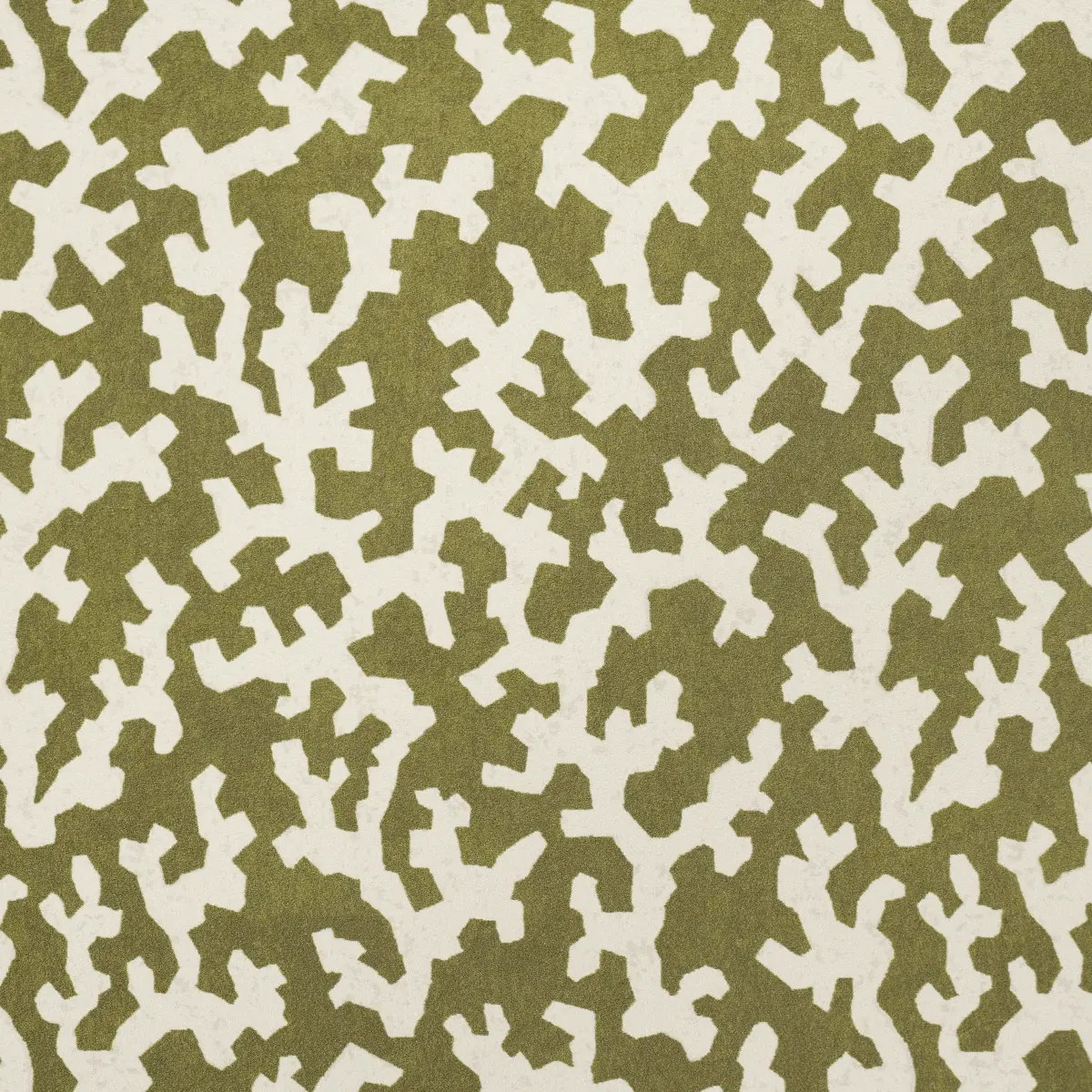 FOLLY_ OLIVE