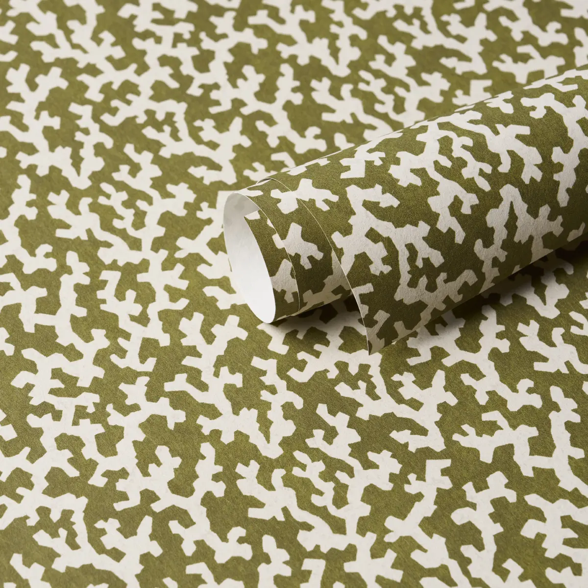 FOLLY_ OLIVE