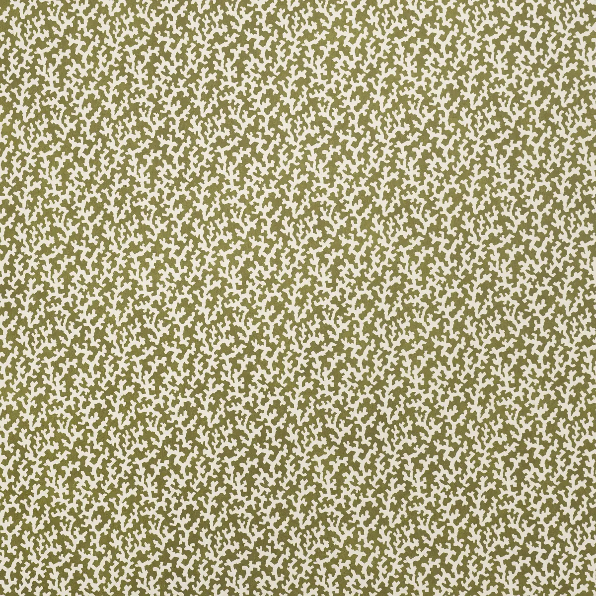 FOLLY_ OLIVE