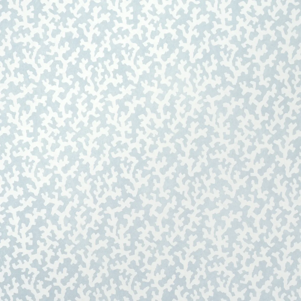 FOLLY_ SKY