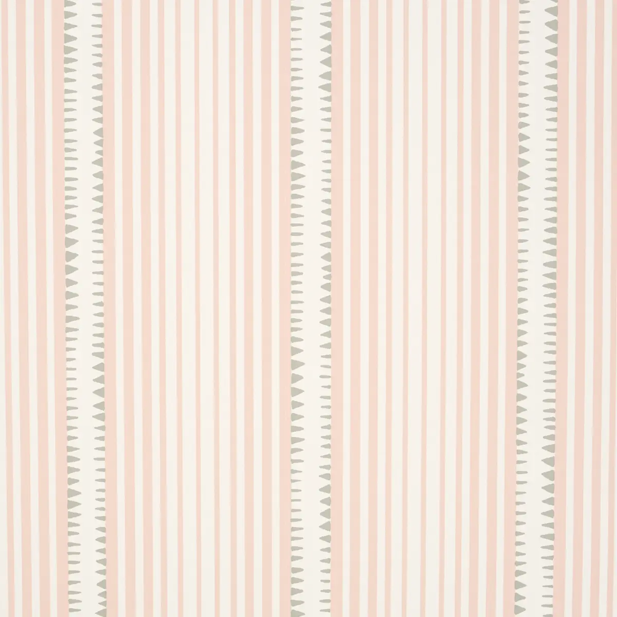 MONCORVO_ PINK