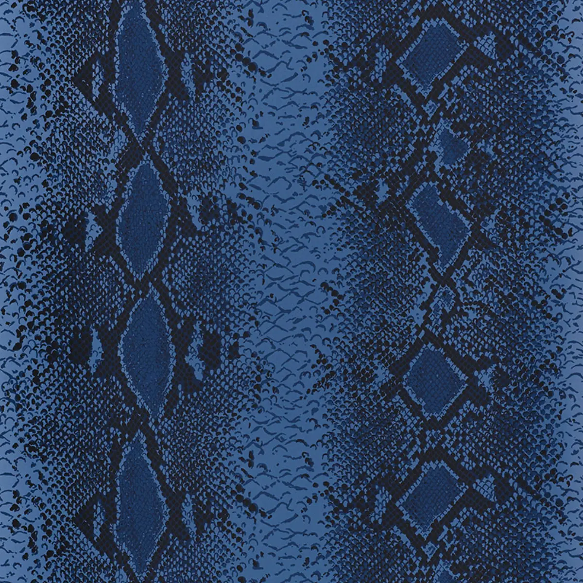 SNAKE CHARMER_ COBALT