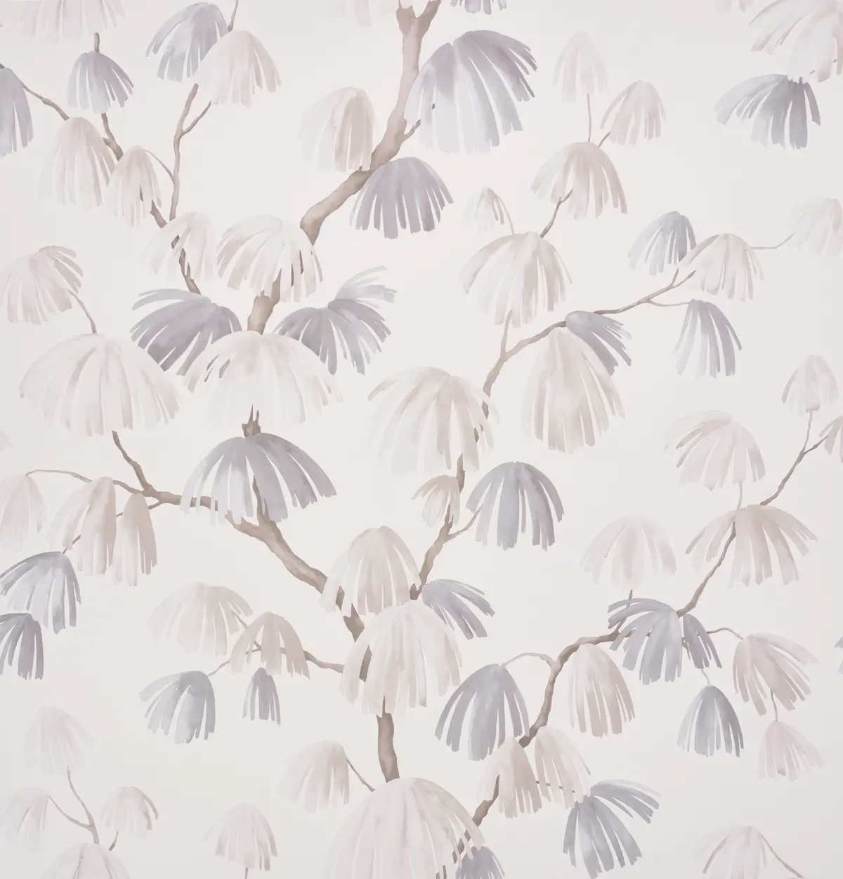 WEEPING PINE_ NEUTRAL