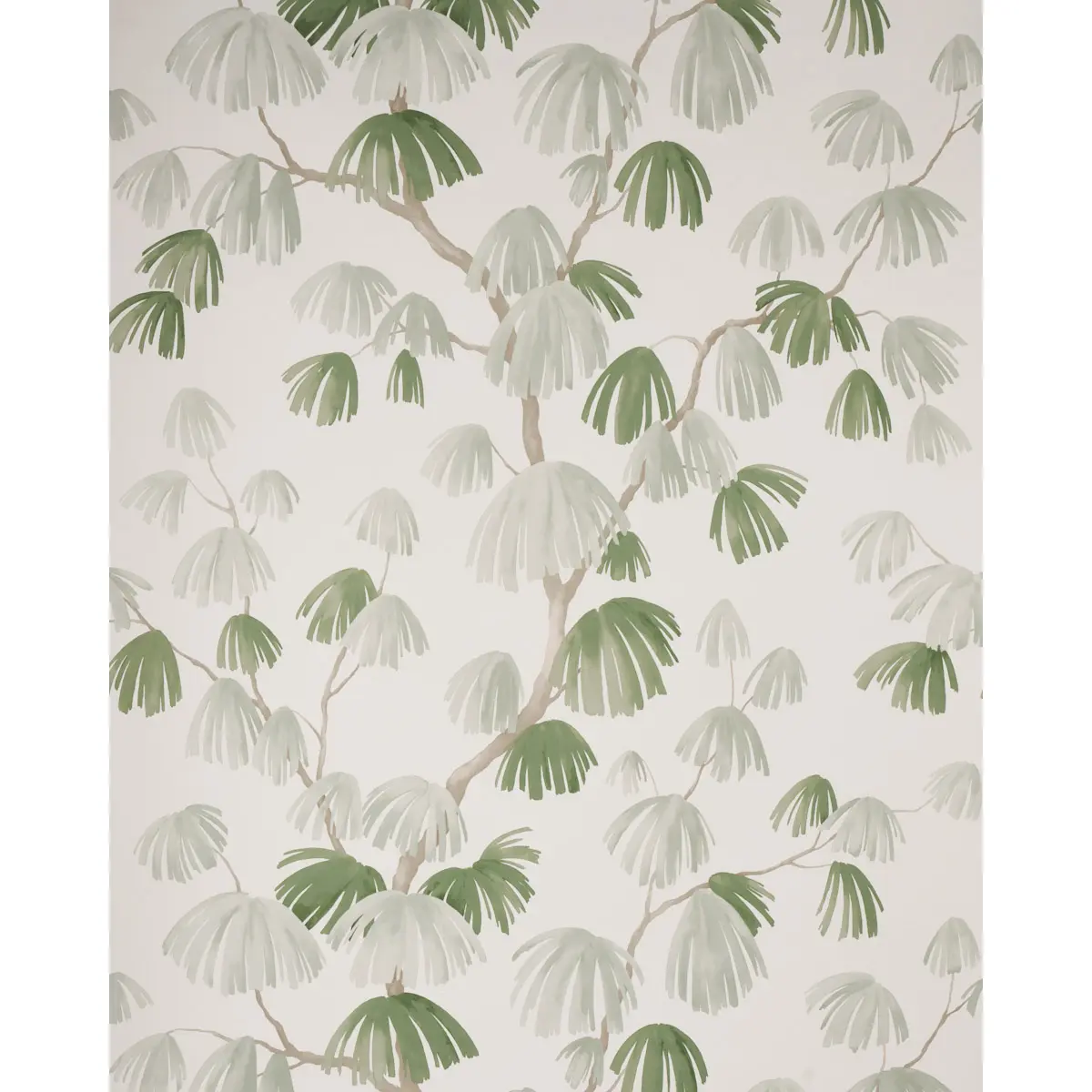WEEPING PINE_ SAGE
