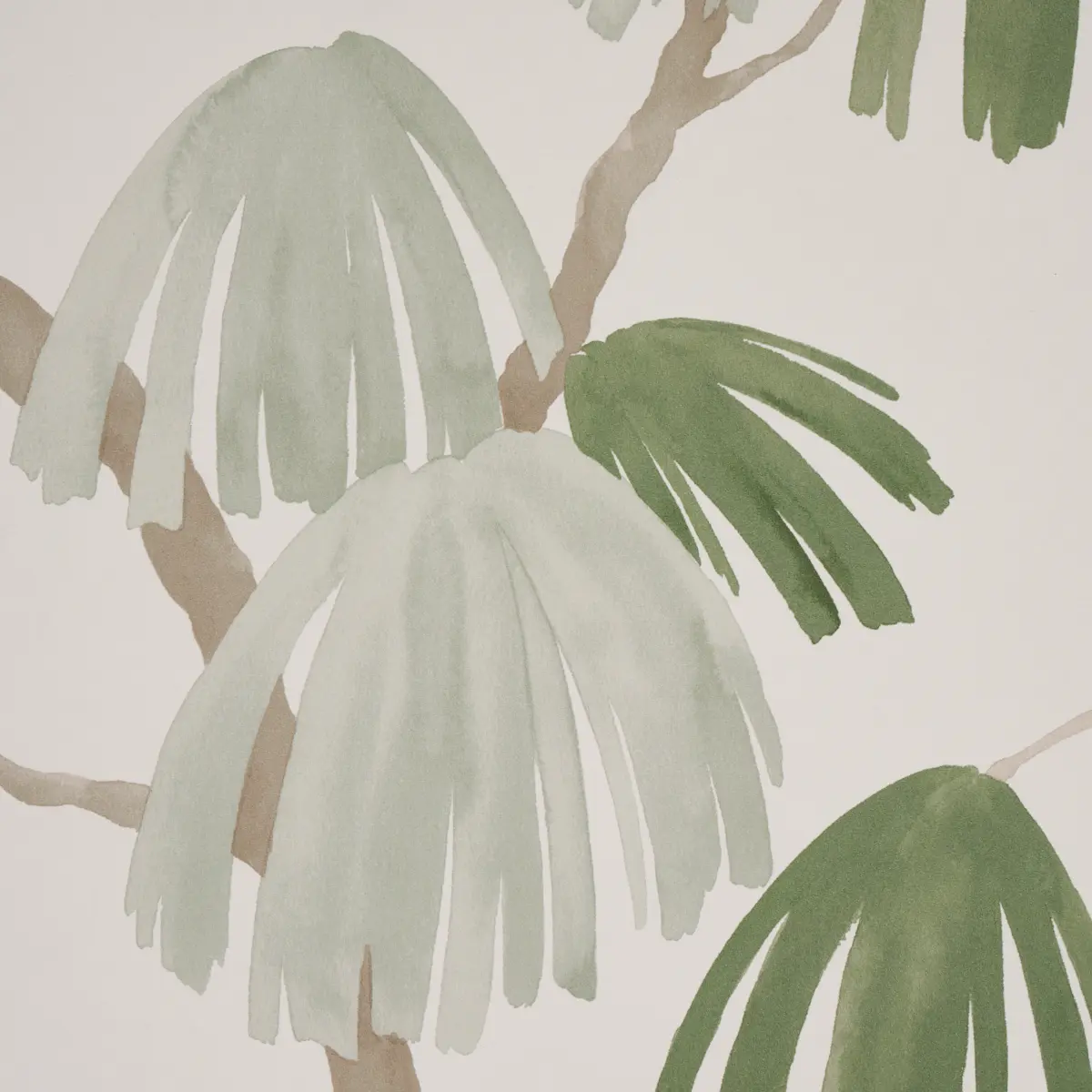 WEEPING PINE_ SAGE