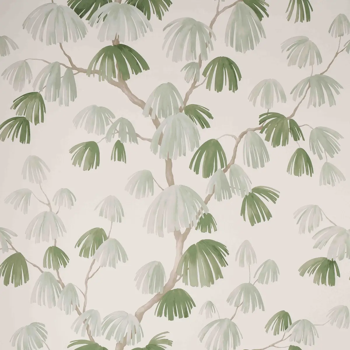 WEEPING PINE_ SAGE