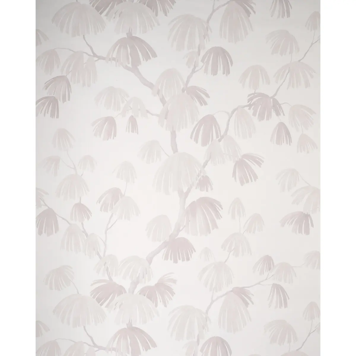 WEEPING PINE_ CLOUD