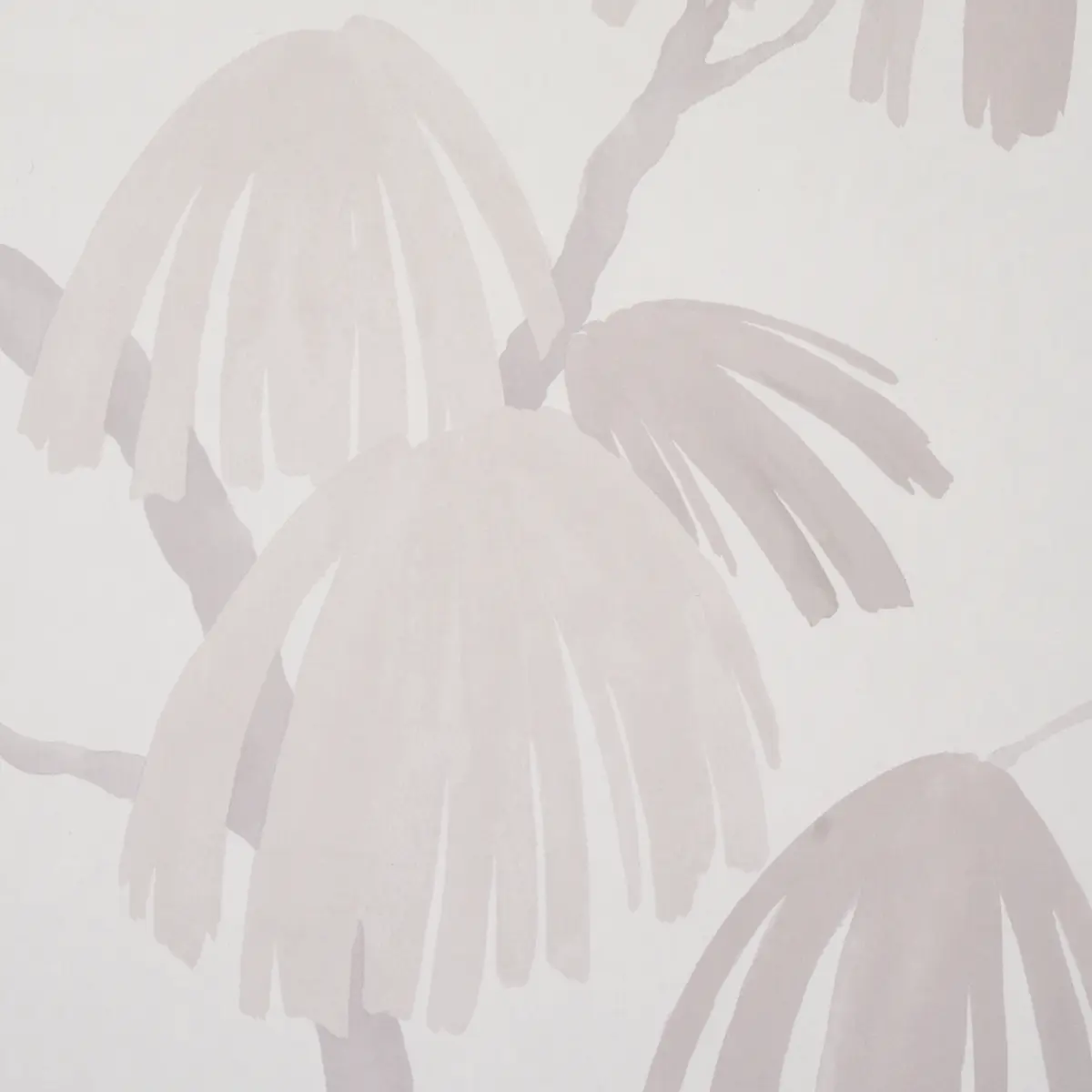 WEEPING PINE_ CLOUD