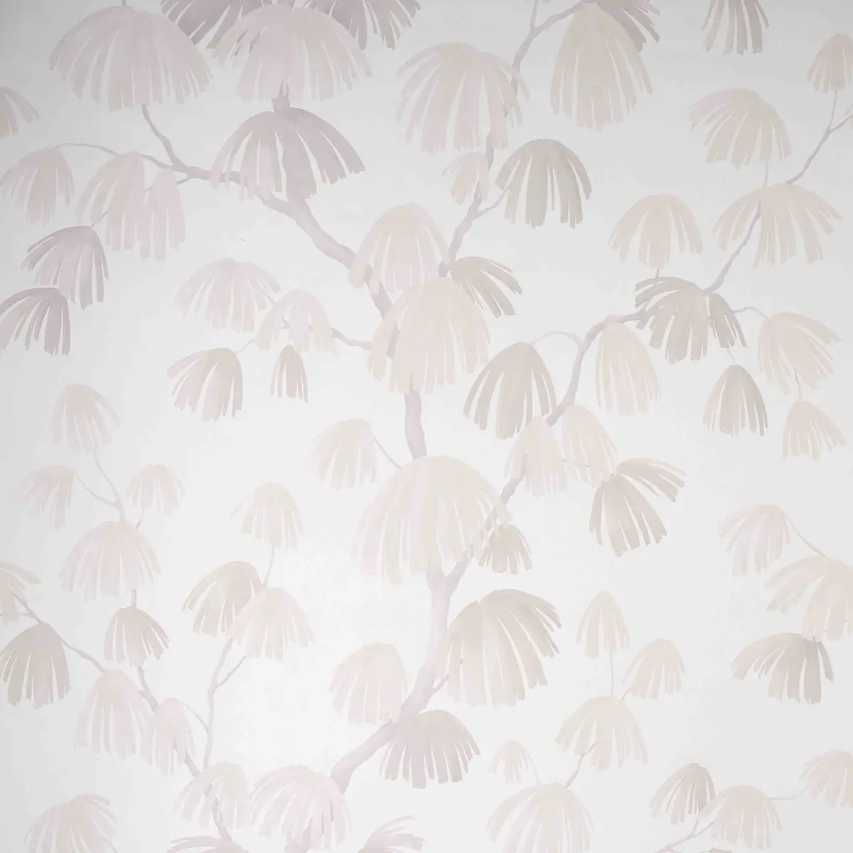 WEEPING PINE_ CLOUD