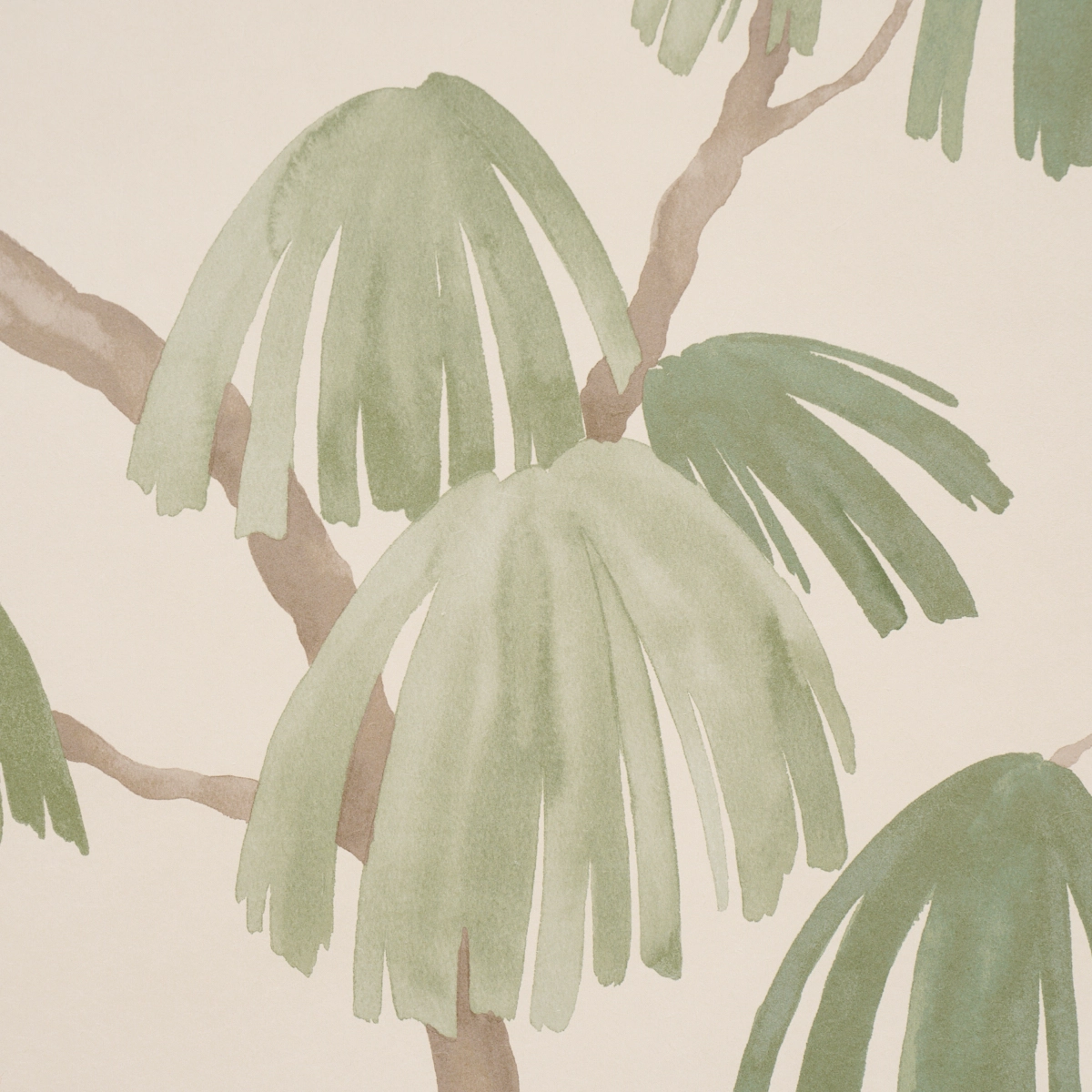 Weeping Pine_ GREEN