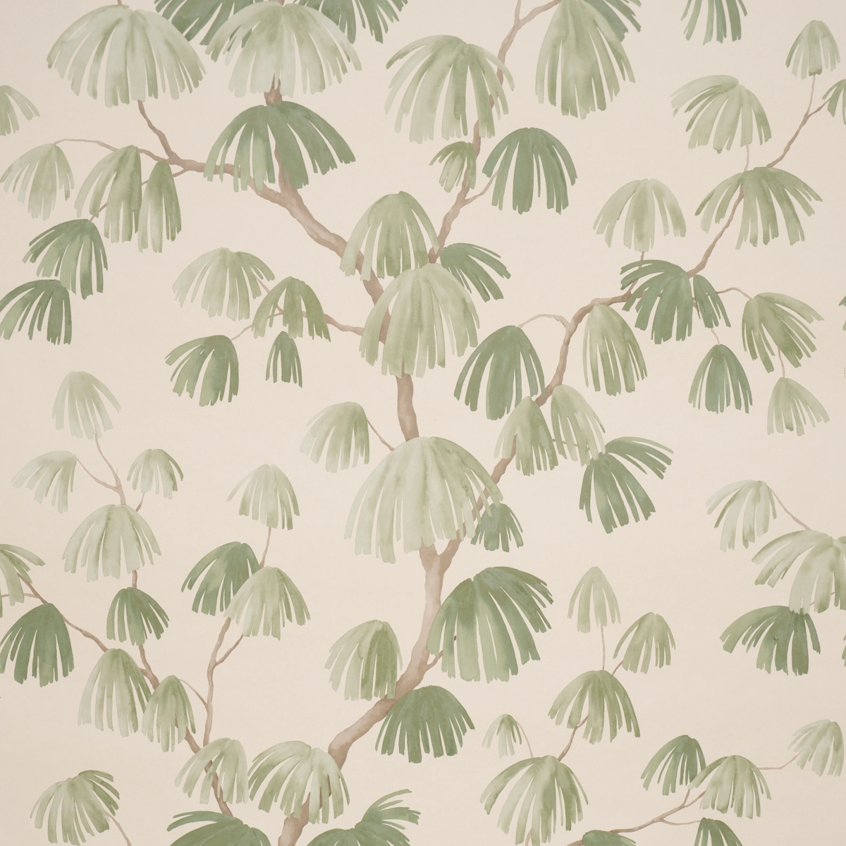 Weeping Pine_ GREEN