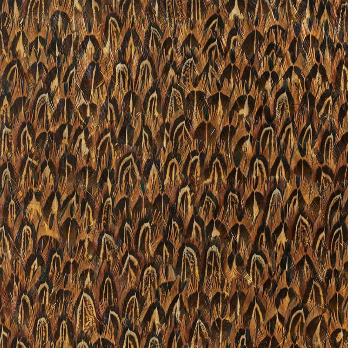 GOLD_ QUAIL