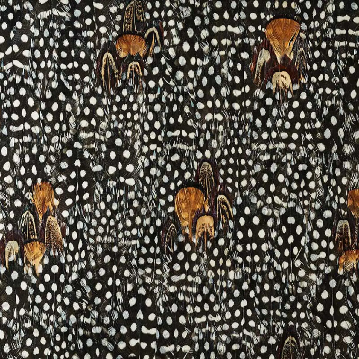 ARGENTITE_ CORAL