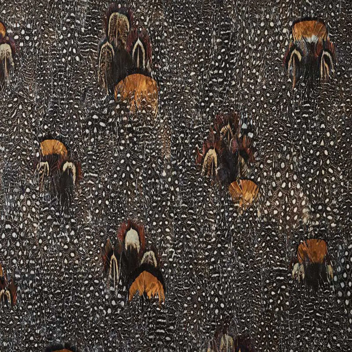 LODESTONE_ CORAL