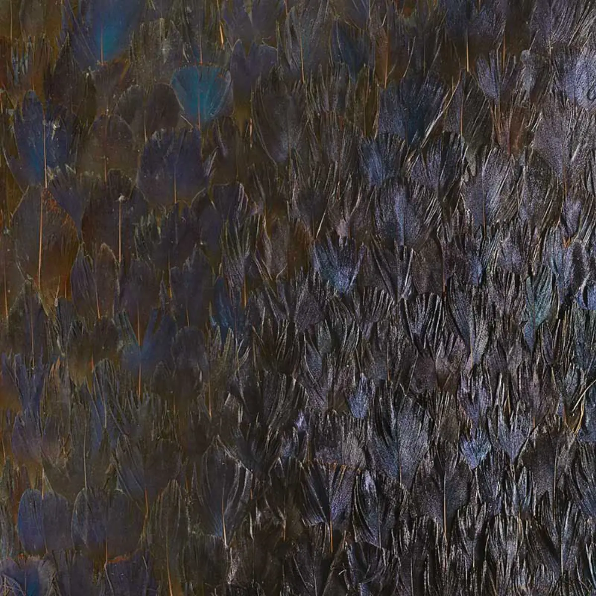 SAPPHIRE_ BRONZE VIOLET
